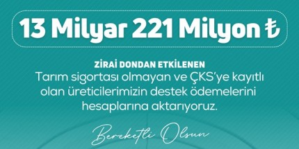 Zirai Don Destek Ödemeleri Başladı